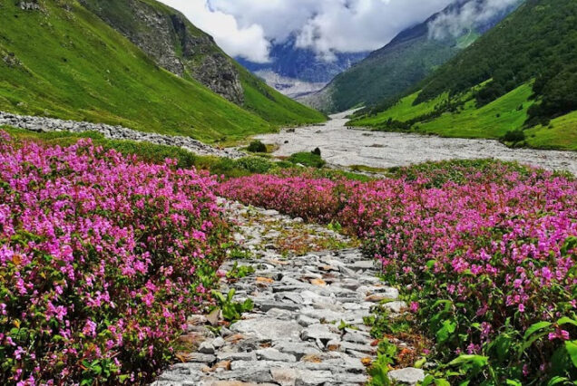 Best of Uttarakhand Tour Package Ex-Delhi Package Couple - 8N / 9D